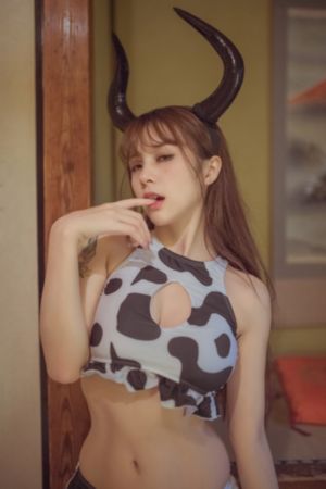火云传奇 电影_DVD高清视频观看