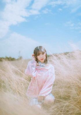 西顿学园_720免费观看超清