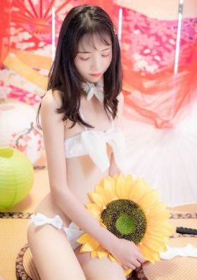 台湾版红楼梦_剧情片在线观看